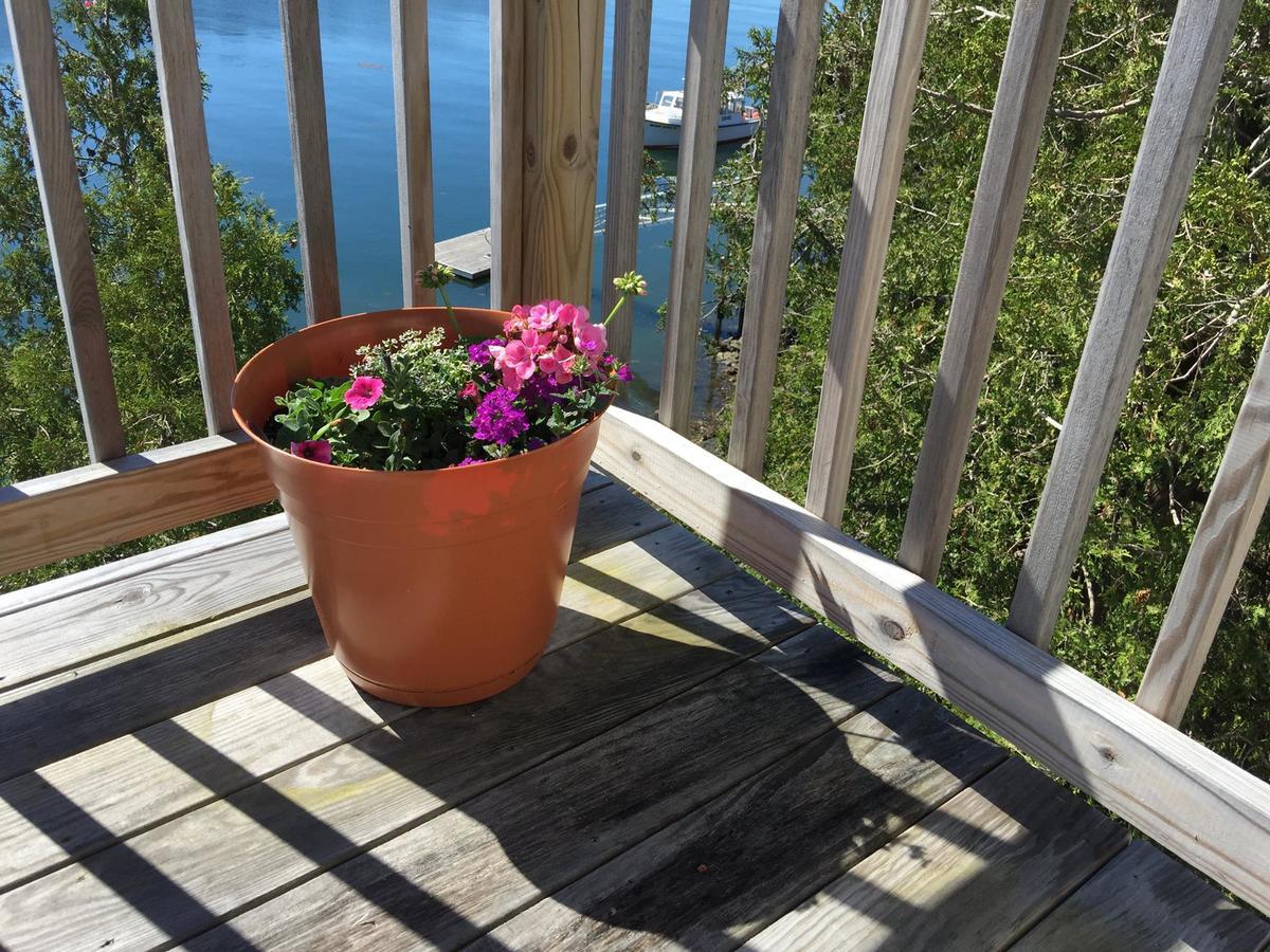 Quahog Bay Inn Harpswell Exterior photo